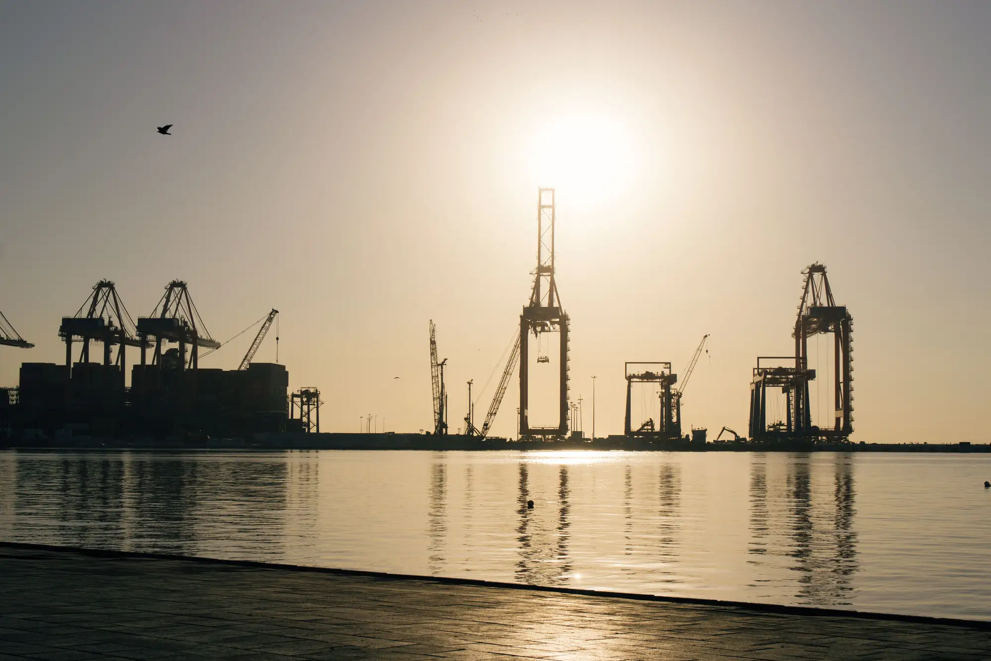 Quay cranes silhouetted against a low sun across a harbour basin
